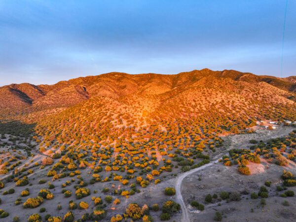 Magdalena Mountain Ranch - Image 14