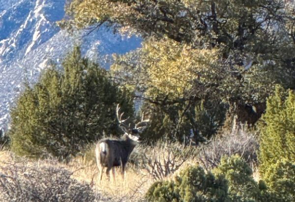 Arabela Ranch - Image 15