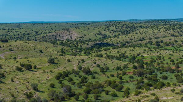 Arabela Ranch - Image 7