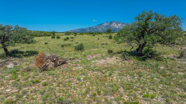 Arabela Ranch - Image 11