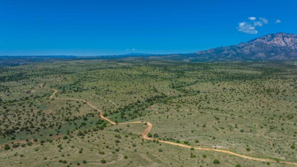 Arabela Ranch - Image 6