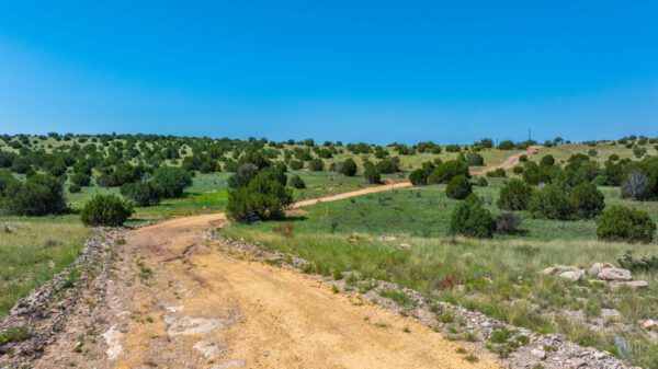 Arabela Ranch - Image 40