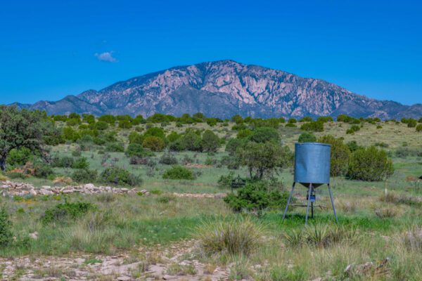 Arabela Ranch - Image 13