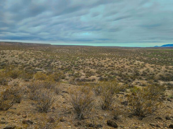 Rincon Valley Ranch - Image 5