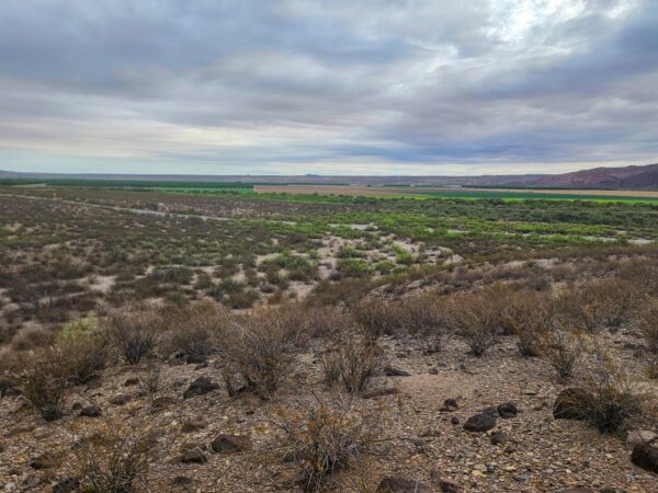 Rincon Valley Ranch - Image 6