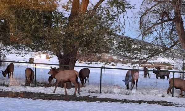 Round Corral Farm - Image 23