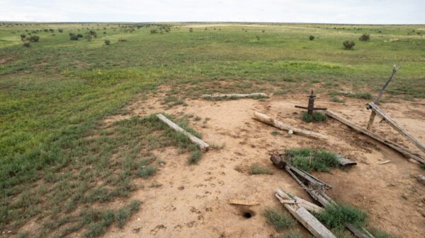Devaughn Draw Ranch - Image 14