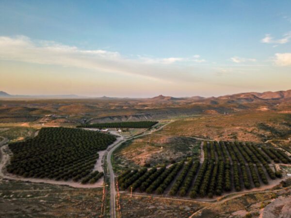 Lake Valley Pecan Farm - Image 23