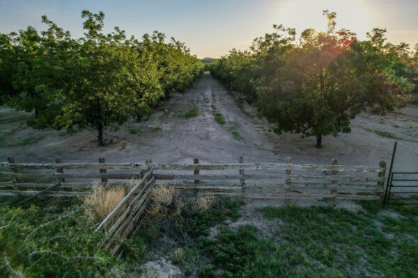 Lake Valley Pecan Farm - Image 22