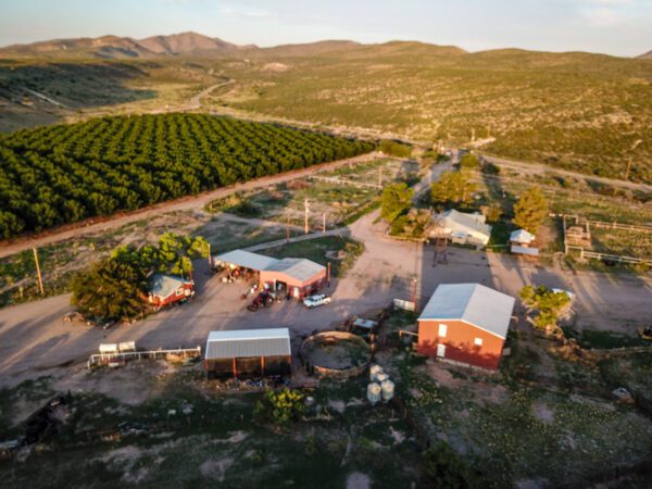 Lake Valley Pecan Farm - Image 2