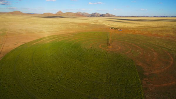 Kokopelli Ranch - Image 17