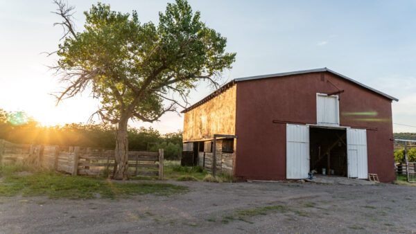 Lake Valley Pecan Farm - Image 14