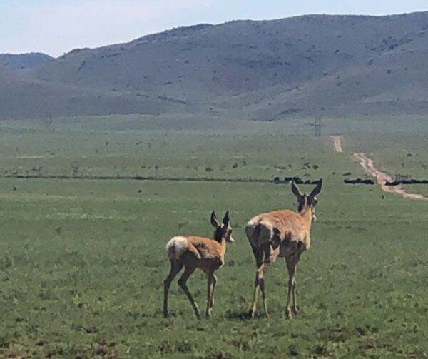 Kokopelli Ranch - Image 27