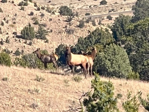 Kokopelli Ranch - Image 34