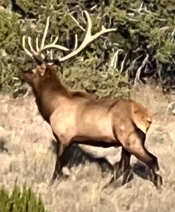 Kokopelli Ranch - Image 21