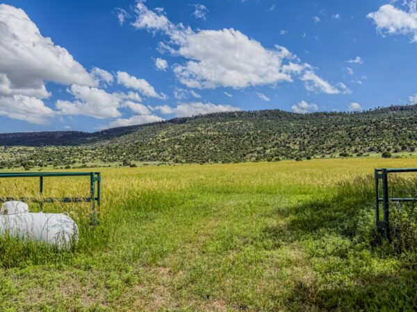 Round Corral Farm - Image 34
