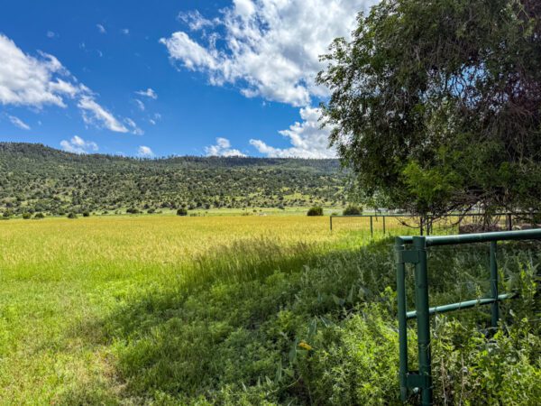 Round Corral Farm - Image 39