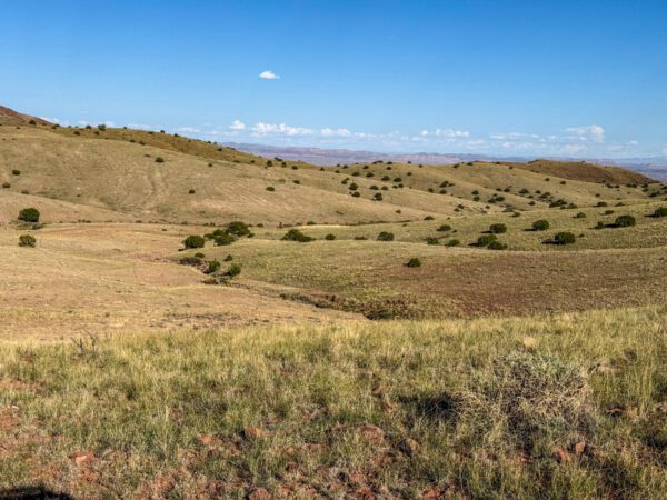Kokopelli Ranch - Image 43