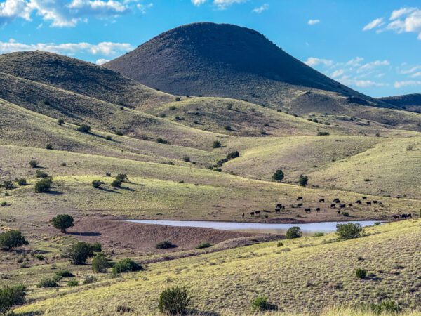 Kokopelli Ranch - Image 3
