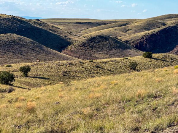 Kokopelli Ranch - Image 11