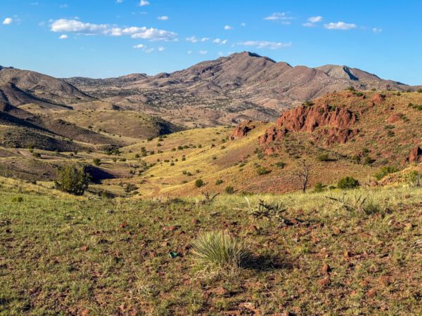 Kokopelli Ranch - Image 7