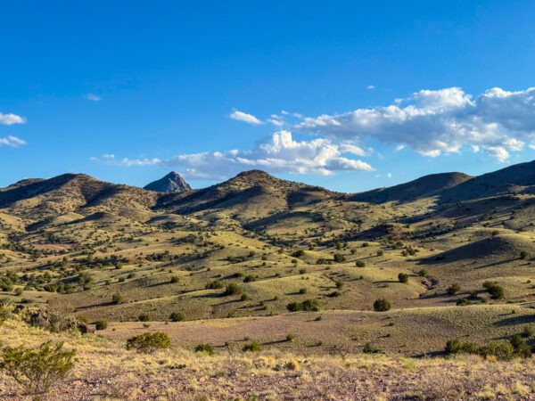 Kokopelli Ranch - Image 9