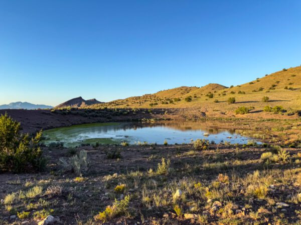 Kokopelli Ranch - Image 33