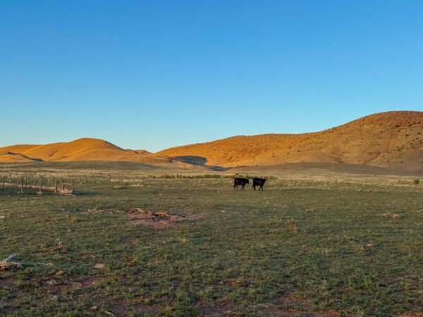 Kokopelli Ranch - Image 55