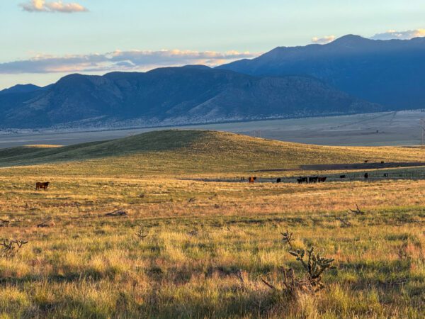 Kokopelli Ranch - Image 8