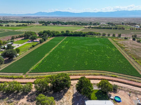 Anaya Farm