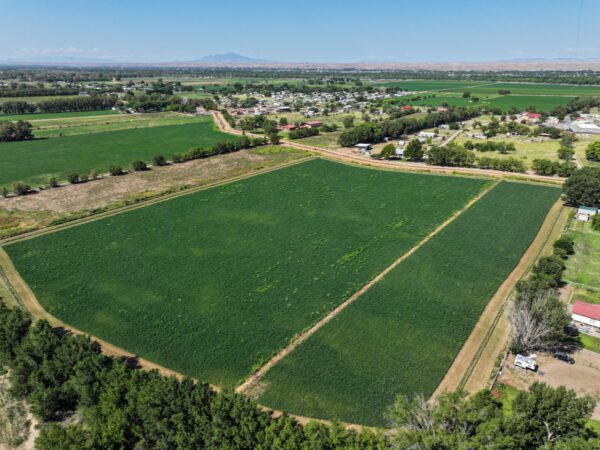 Anaya Farm - Image 4