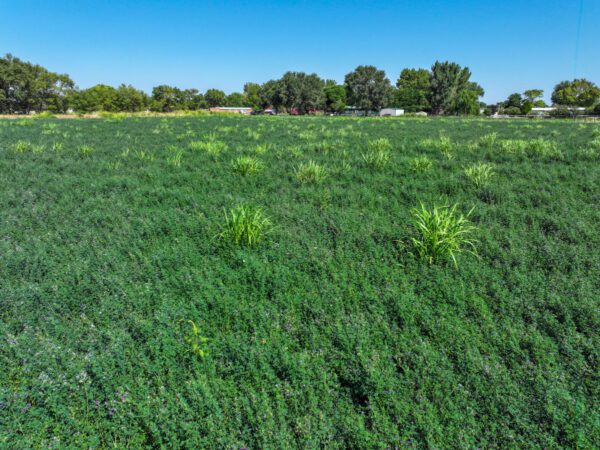 Anaya Farm - Image 2