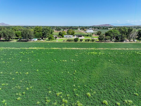 Anaya Farm - Image 3