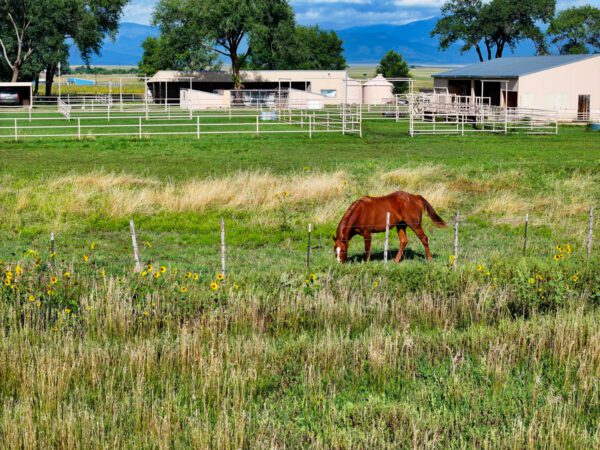 Fleming's Farm - Image 18