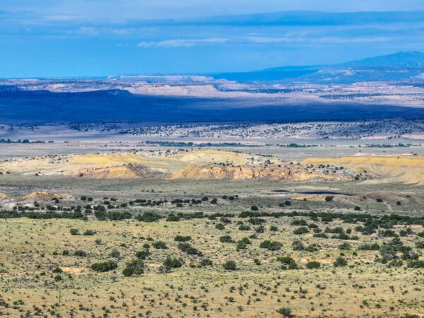 Rio West Ranch - Image 6
