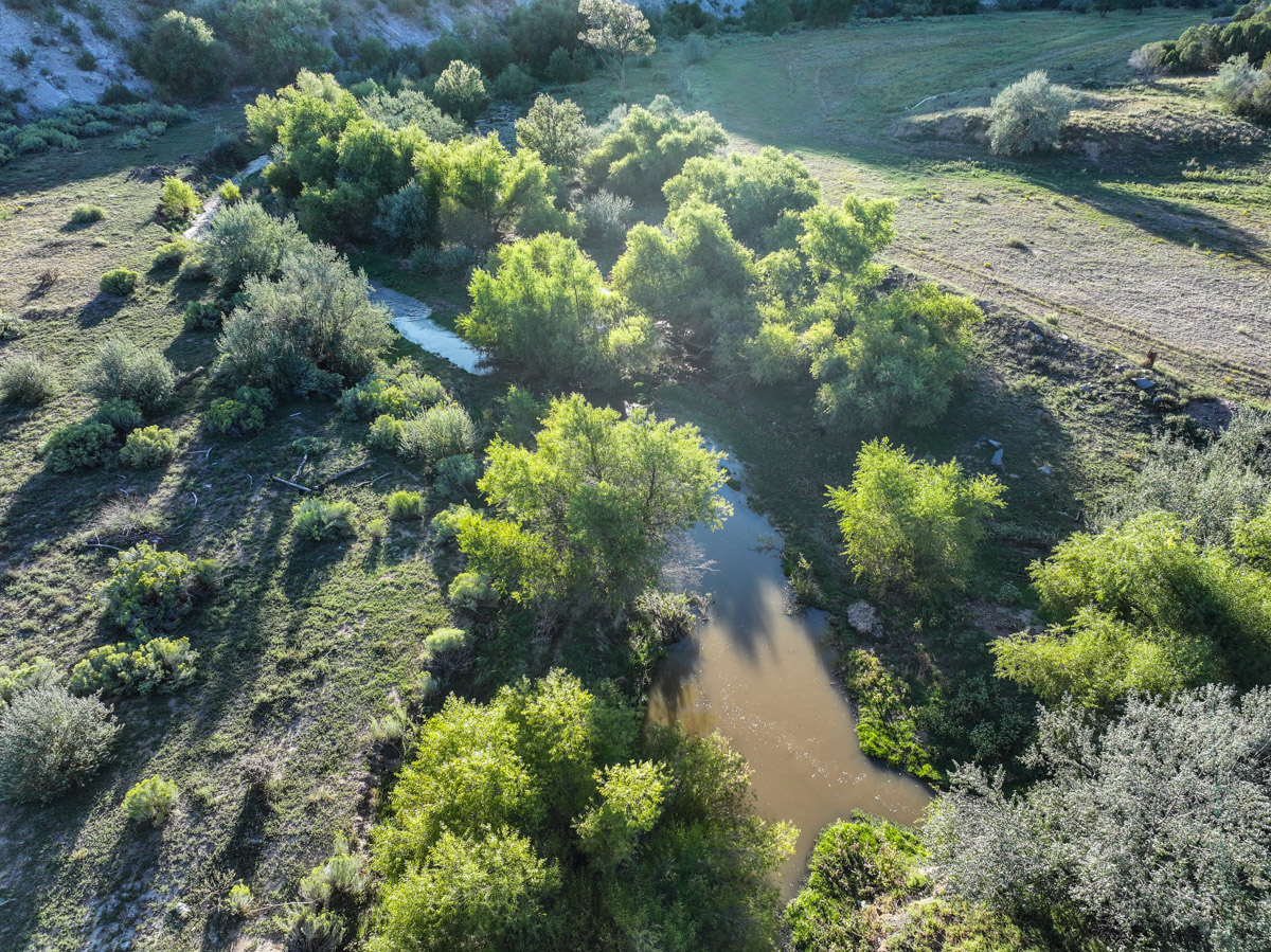 Tres Rios Ranch - Image 31