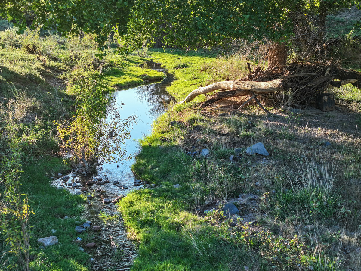 Tres Rios Ranch - Image 5