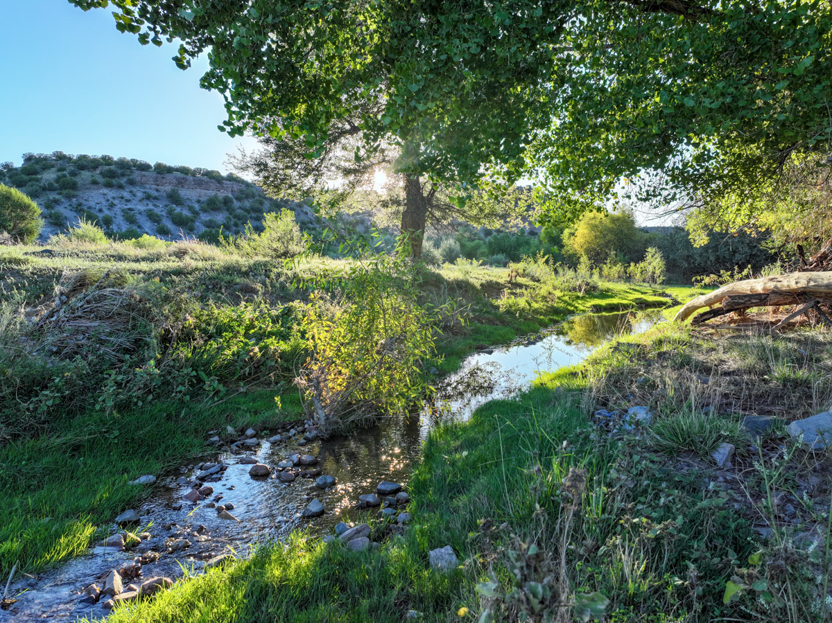 Tres Rios Ranch - Image 36