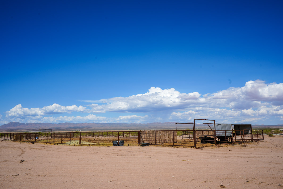 Oak Canyon Ranch - Image 31