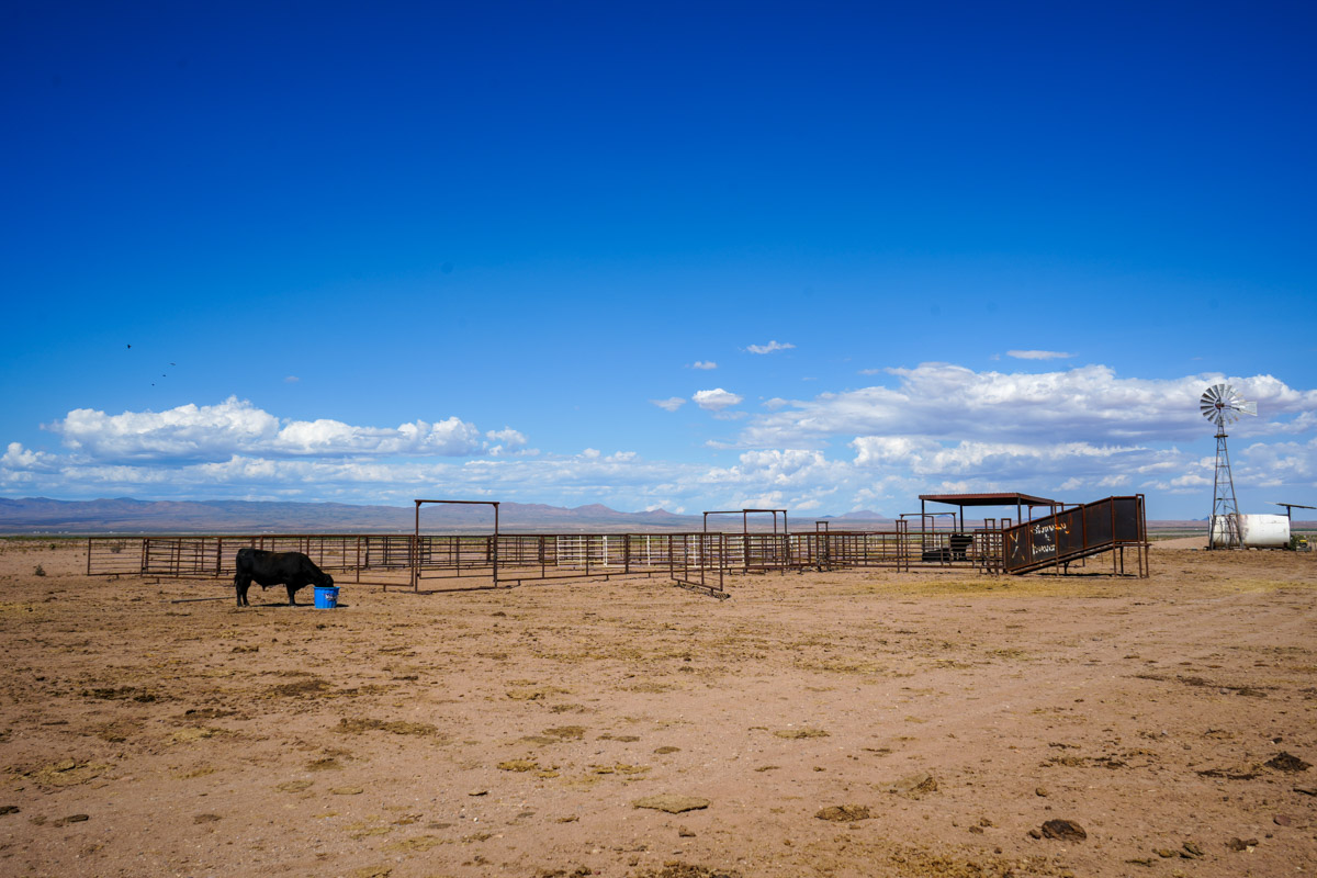 Oak Canyon Ranch - Image 23