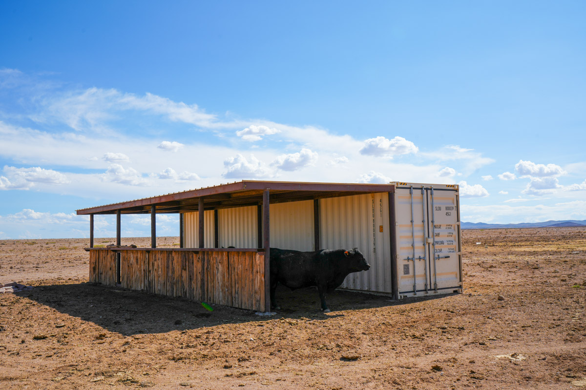 Oak Canyon Ranch - Image 22