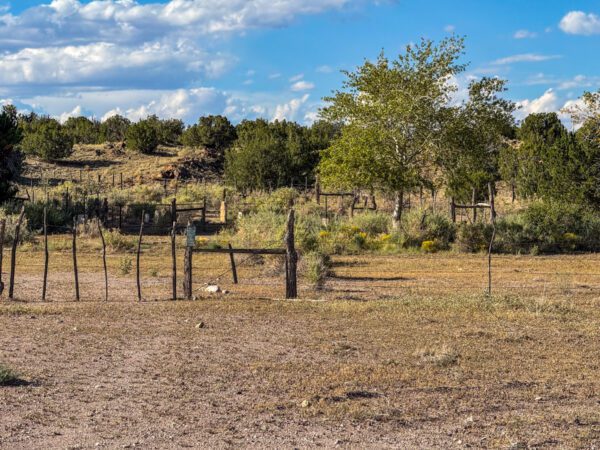 Ignacio Chaves Ranch - Image 8
