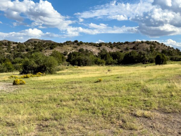 Ignacio Chaves Ranch - Image 2