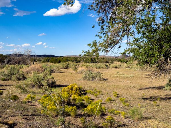 Ignacio Chaves Ranch - Image 11