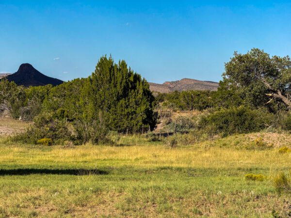 Ignacio Chaves Ranch - Image 4