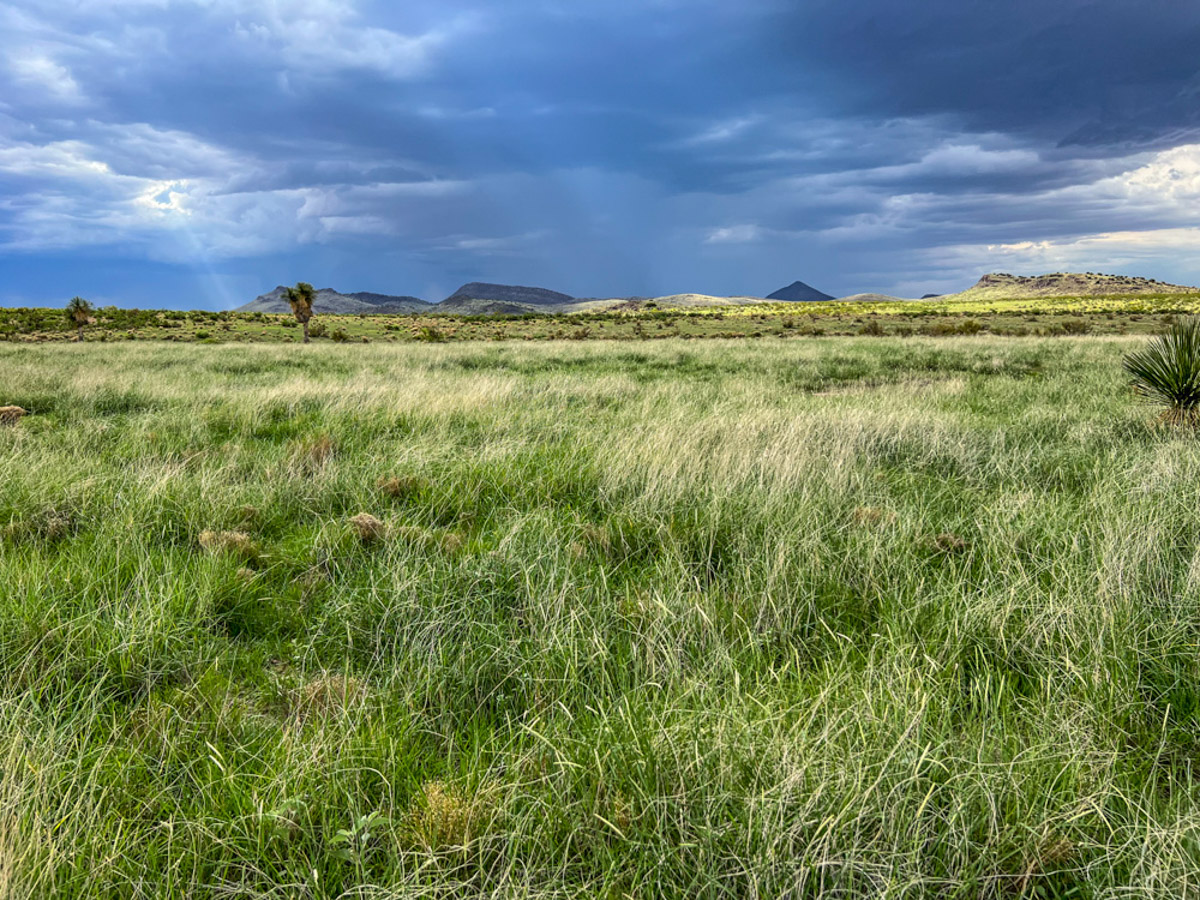 Oak Canyon Ranch - Image 16