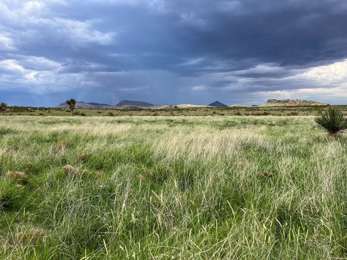 Oak Canyon Ranch - Image 15