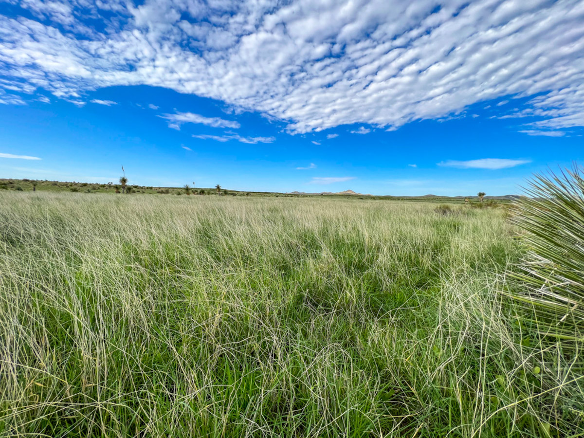 Oak Canyon Ranch - Image 13