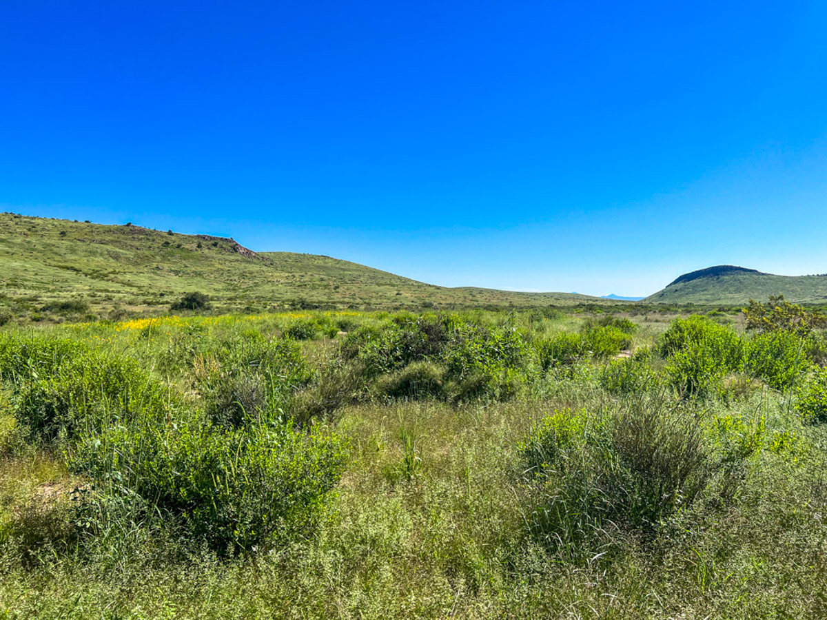 Oak Canyon Ranch - Image 7