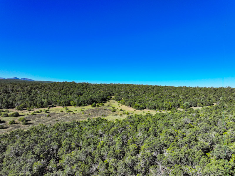 Sundance Mountain Ranch - Image 2